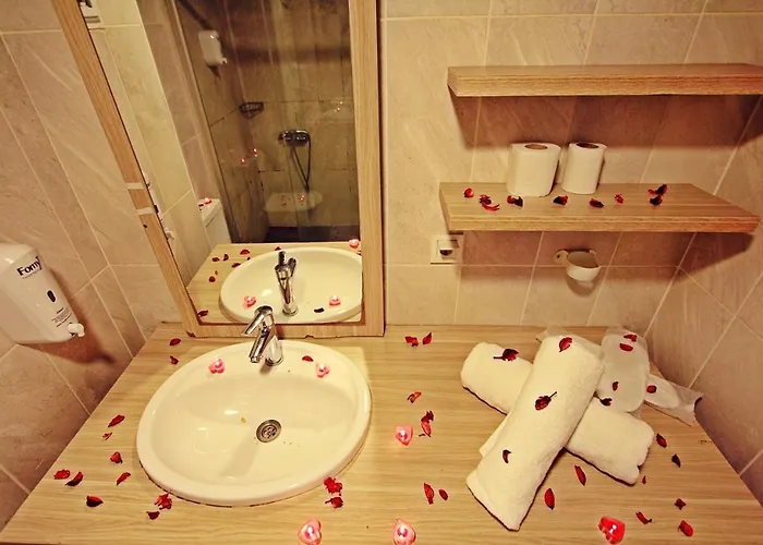 Red House Vip Apartmant Suites 3* Provincia di Istanbul